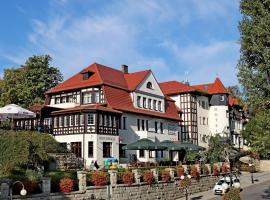 榉树公园医疗SPA酒店，位于波兰尼卡-兹德鲁伊的酒店