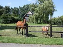 B&B Pension "Op'e Koai"