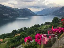 Traumhaftes Chalet mit Seesicht，位于Krattigen的酒店