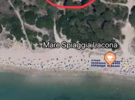 Monolocale sulla spiaggia di Lacona