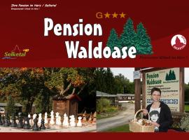 Hotel Waldoase Hirschbüchenkopf，位于金特斯贝格的酒店