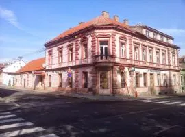 Penzion Na Protivínské