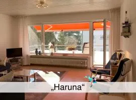 Ferienwohnung Haruna