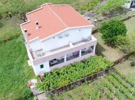 Vržina Farm House Skadar Lake，位于威尔帕扎的酒店