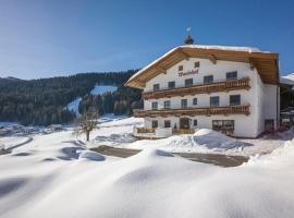 瓦尼霍夫公寓，位于蒂尔塞的酒店