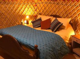 McClure Yurt at Carrigeen Glamping，位于基尔肯尼的酒店