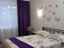 Apartment on Kamyanetskaya street，位于赫梅利尼茨基的海滩酒店