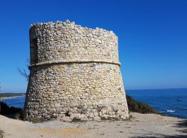 Bel appartement confortable et cosy en résidence avec piscine à 5 mn de la mer，位于林古泽塔的酒店