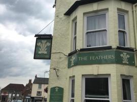 The Feathers，位于波克灵顿的酒店