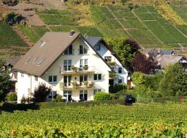 Ferienhaus Zenz - Ferienwohungen，位于恩斯特的酒店