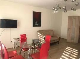 Apartament Rodzinny S8