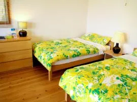 Ishigaki - House / Vacation STAY 14463