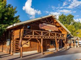 Bear Country Cabin #3，位于Saint Charles的酒店
