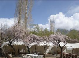 Royal Deluxe Camp & Resort, Hunder- Nubra，位于努布拉的酒店