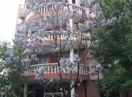 Art Guest House Orchidea