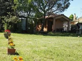 Holiday home in Castagneto Carducci 27464