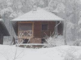 Divcibarski Konak，位于迪瓦伊巴雷的木屋