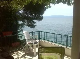 Drvenik, Apartman 1m from sea