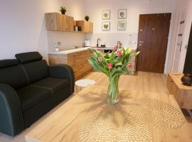 Apartament na Piernikowym z miejscem postojowym，位于托伦的酒店