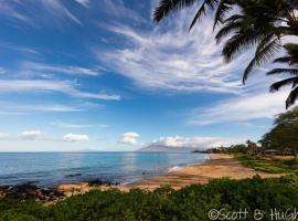 South Maui 1 BR Guest Suite - Kamaole Beach Area，位于维雷亚的度假短租房