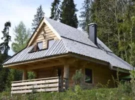 Mountain chalet SmoLenisko domek w górach