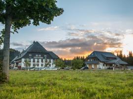 Gasthaus Kalte Herberge，位于Vöhrenbach的公寓