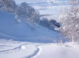 Nozawa Dream Central，位于野沢的酒店