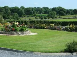 Villa Pio Accommodation Cong