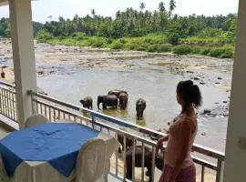 Hotel Pinnalanda - NEW DEAL! Exclusive Offers on Pickups Available!