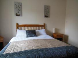 THE GRAPES HOTEL，位于Newcastleton的酒店