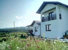 Pensiunea La Poarta Bucovinei，位于苏恰瓦的酒店