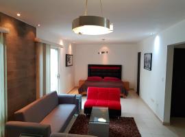 Contry La Silla Apartments zona tec - Nuevo Sur，位于蒙特雷的酒店
