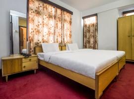 Hotel Pine View，位于纳汉的酒店