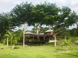 Exotic High End Unique Off-The-Grid Treehouse, steps away from the Mopan River!，位于Bullet Tree Falls的酒店