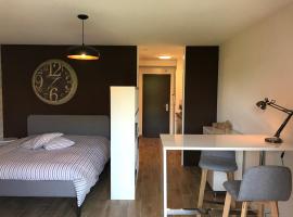 Large Studio Near Epfl And Lausanne City Center，位于Ecublens的酒店