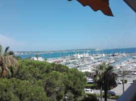 Grand studio climatisé en bord de mer avec parking sécurisé，位于戈尔夫瑞昂的公寓