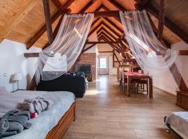Penzion Na barokní cestě Wellness & Spa，位于Plasy的酒店