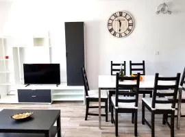 Luxury 2 bedroom APT 50 m from beach