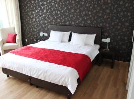 费里恩多米奇尔阿姆林登普拉兹酒店，位于布莱的酒店