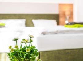 Hotel-Pension Treppengasse Nr 6，位于阿尔滕堡的酒店