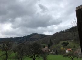 Petit week end dans la vallée，位于Breitenbach-Haut-Rhin的酒店