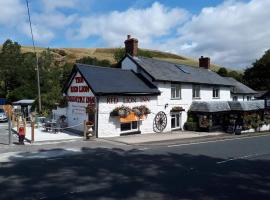 The Red Lion Country Inn, B&B, Llew Coch B&B，位于Llanfihangel-nant-Melan切夫利斯城堡附近的酒店