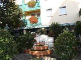 Hotel Pflieger，位于波金格的酒店