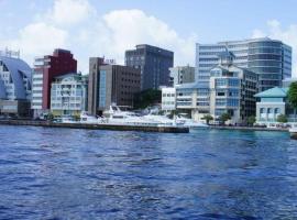 Zhongou International Park Hotel，位于Rivière Baptiste的酒店
