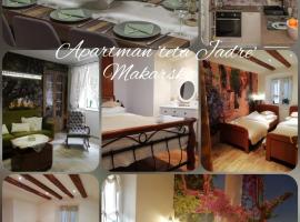 Apartman Teta Jadre，位于马卡尔斯卡的酒店