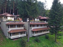 Restoran sa prenoćištem Gornjak，位于Krepoljin的酒店