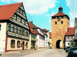 Hotel-Gasthof Krone-Lax，位于Scheinfeld的酒店