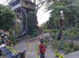 Volcano Nostrils Garden View Tree House，位于班加洛的酒店