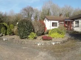 Aunt Mollie's Cottage