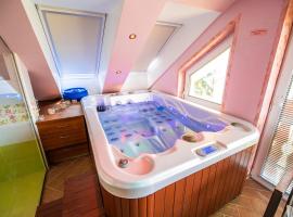 Luxury Apartment Ana with Hot tub，位于Višnja Gora的乡村别墅